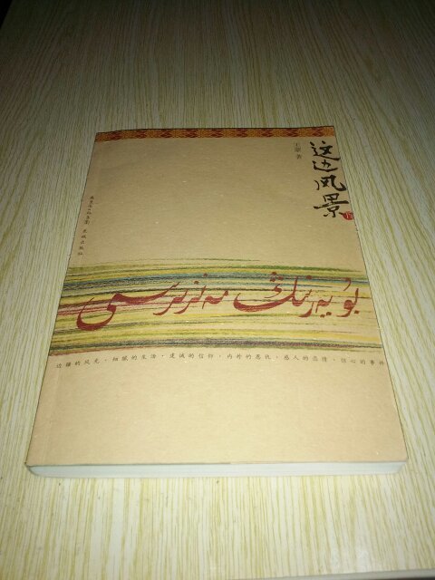 这边风景(上下卷)王蒙 著