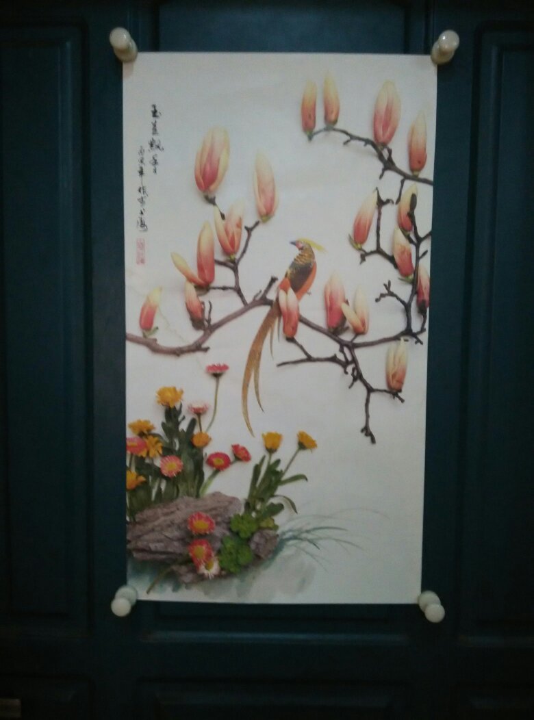 张永刚花鸟摄影作品集10张