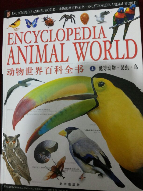 动物世界百科全书上中下