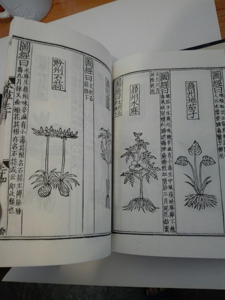 重修政和经史证类备用本草 白宣纸线装 影印本两函十二册 1957年初版