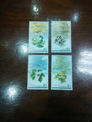 孑遗植物  邮票【2006-5T】