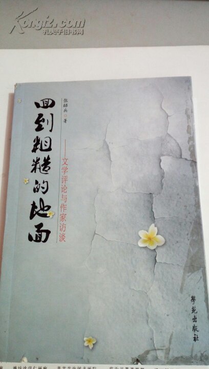 回到粗糙的地面  文学评论与作家访谈      张昭兵   学苑出版社   2012年10月 一版一印                           1005
