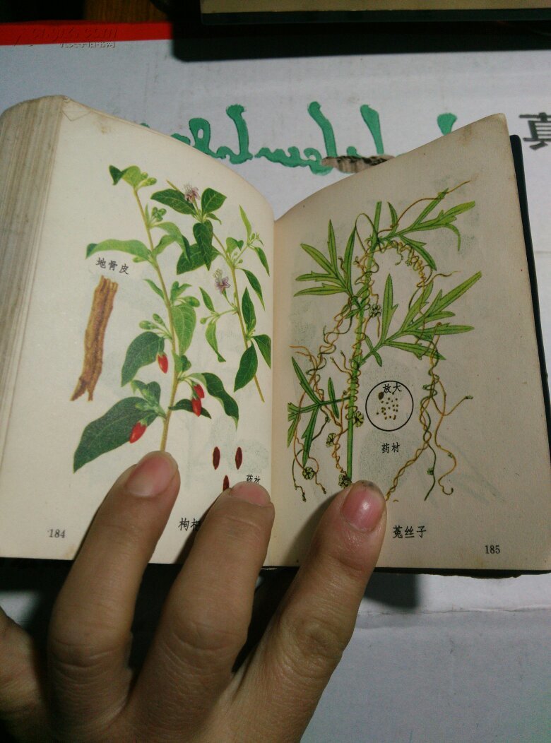 常用中草药图谱(彩色)
