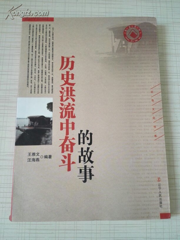 历史洪流中奋斗的故事