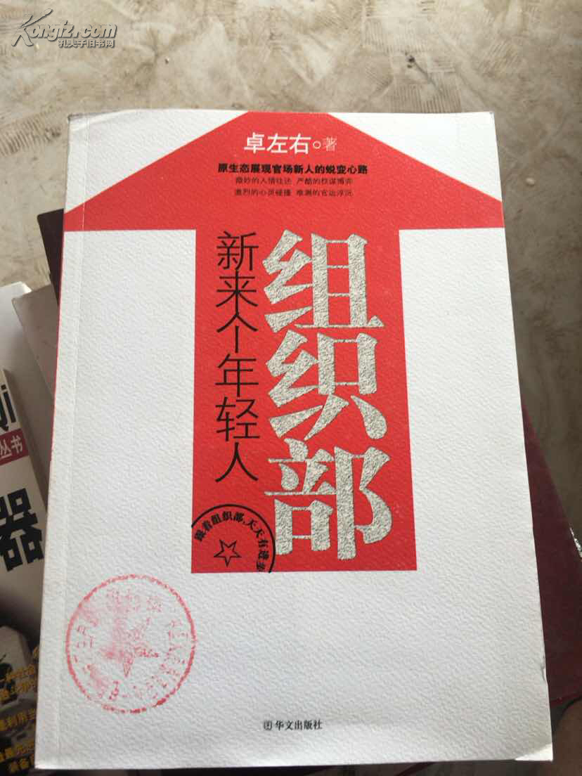 组织部新来个年轻人