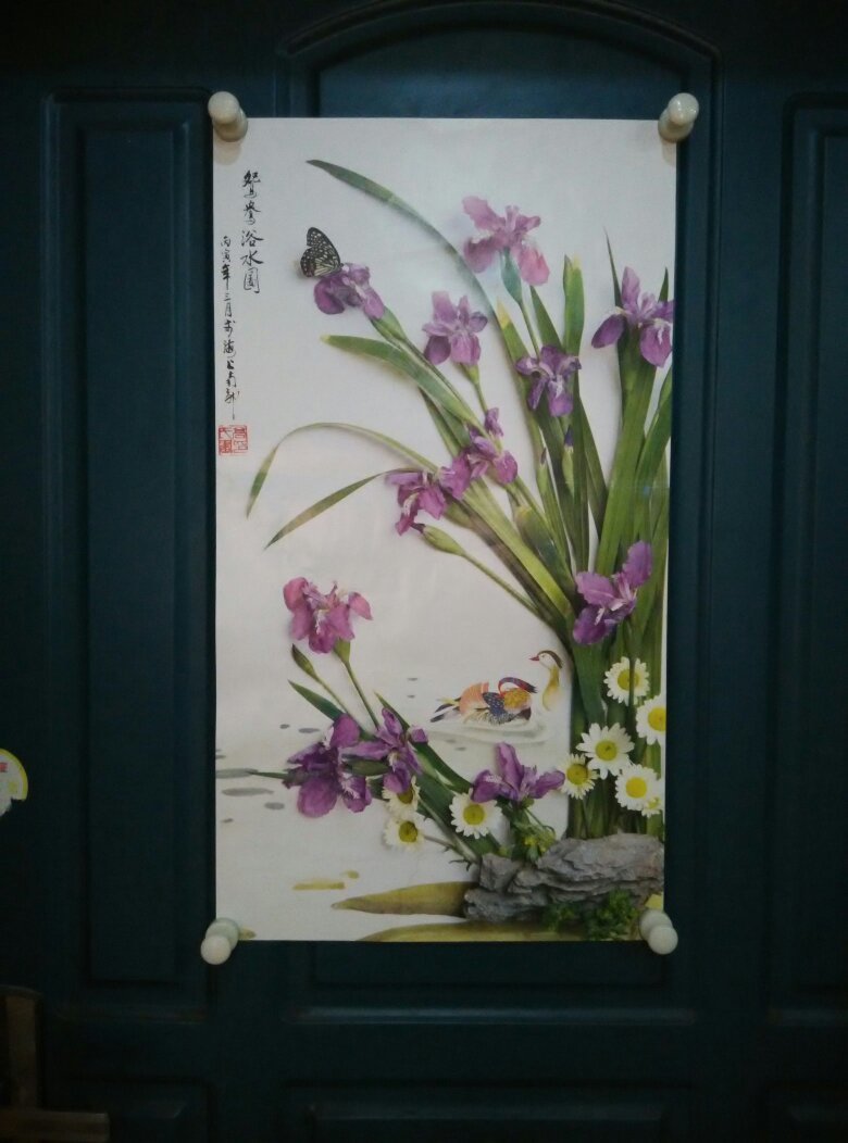 张永刚花鸟摄影作品集10张