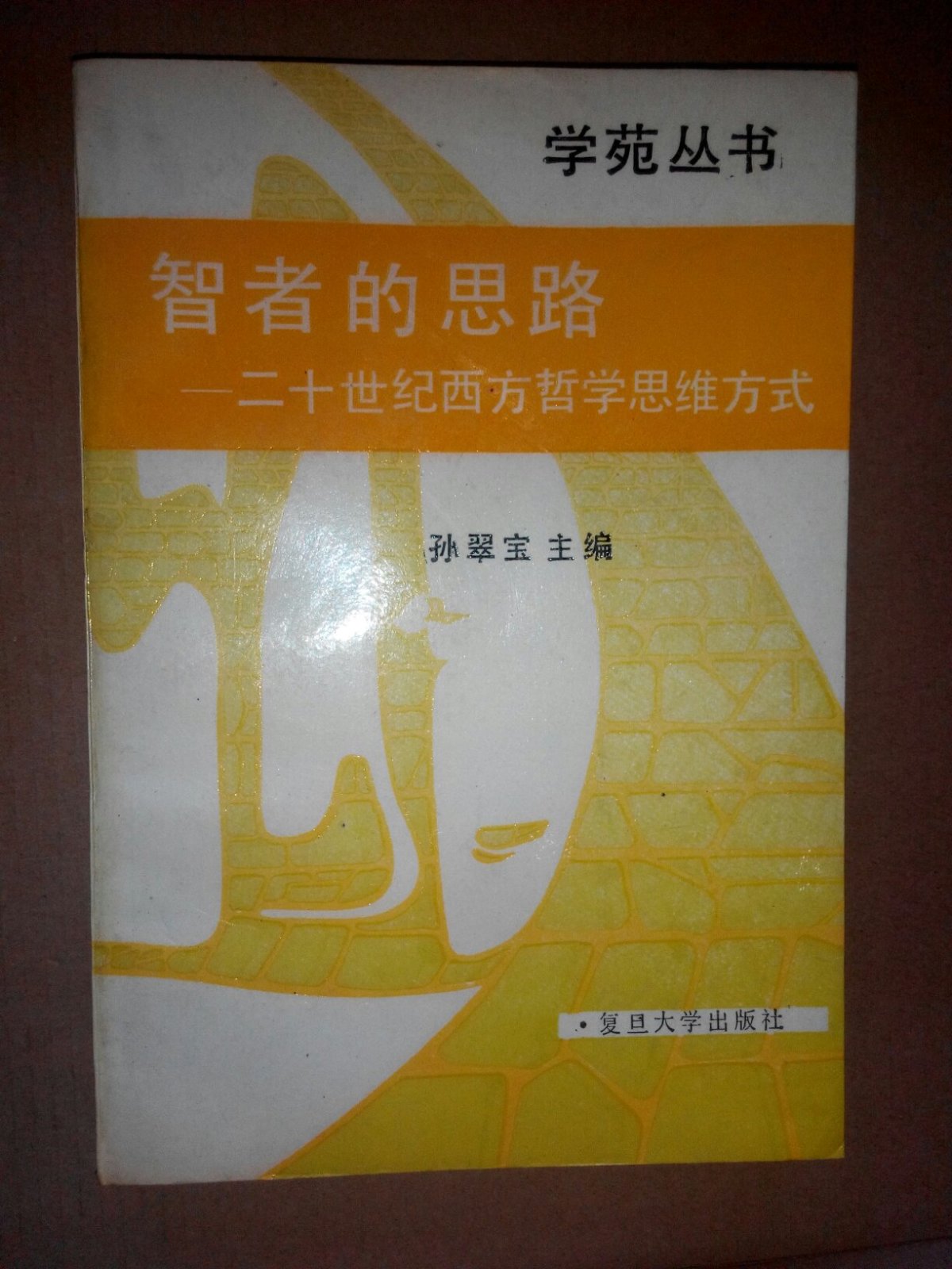 智者的思路-二十世纪西方哲学思维方式