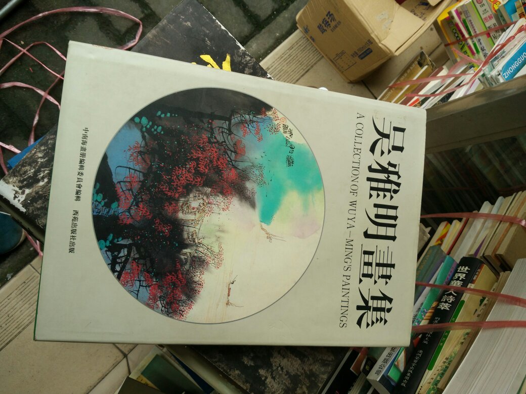 吴雅明画集 精装