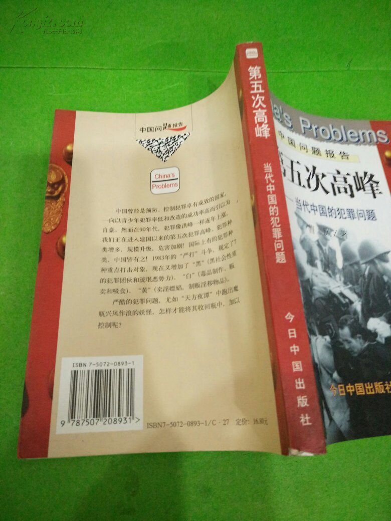 第五次高峰:当代中国的犯罪问题
