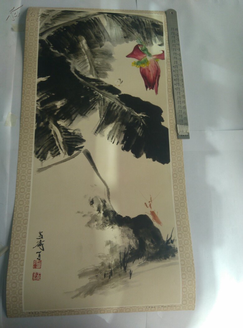 芭蕉草图(相纸)_王雪涛_孔夫子旧书网