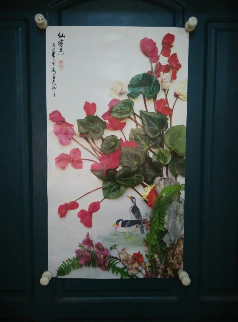 张永刚花鸟摄影作品集10张