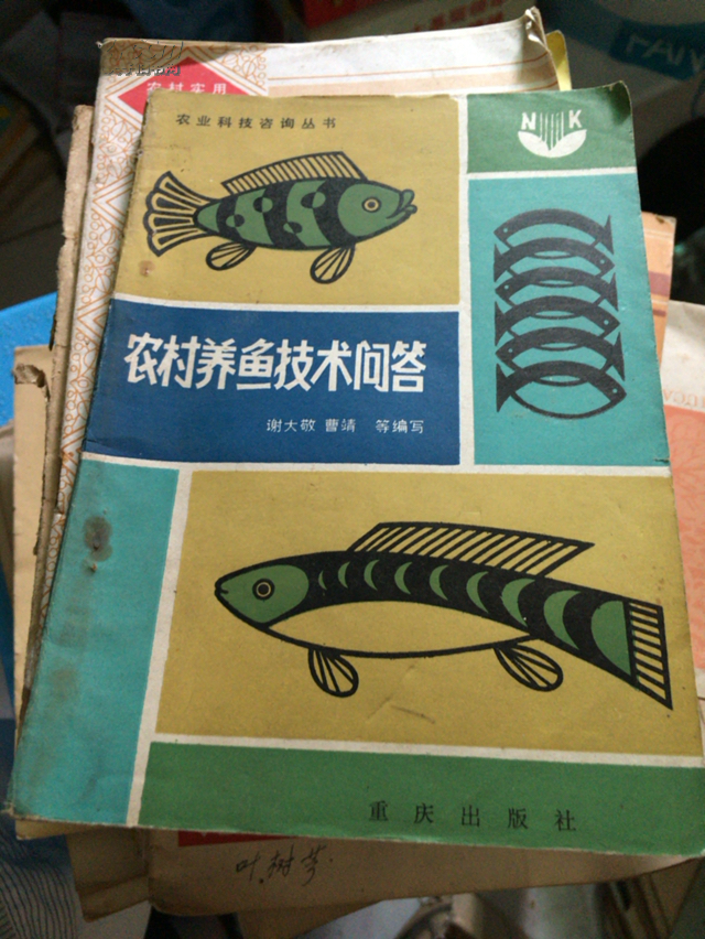 农村养鱼技术问答