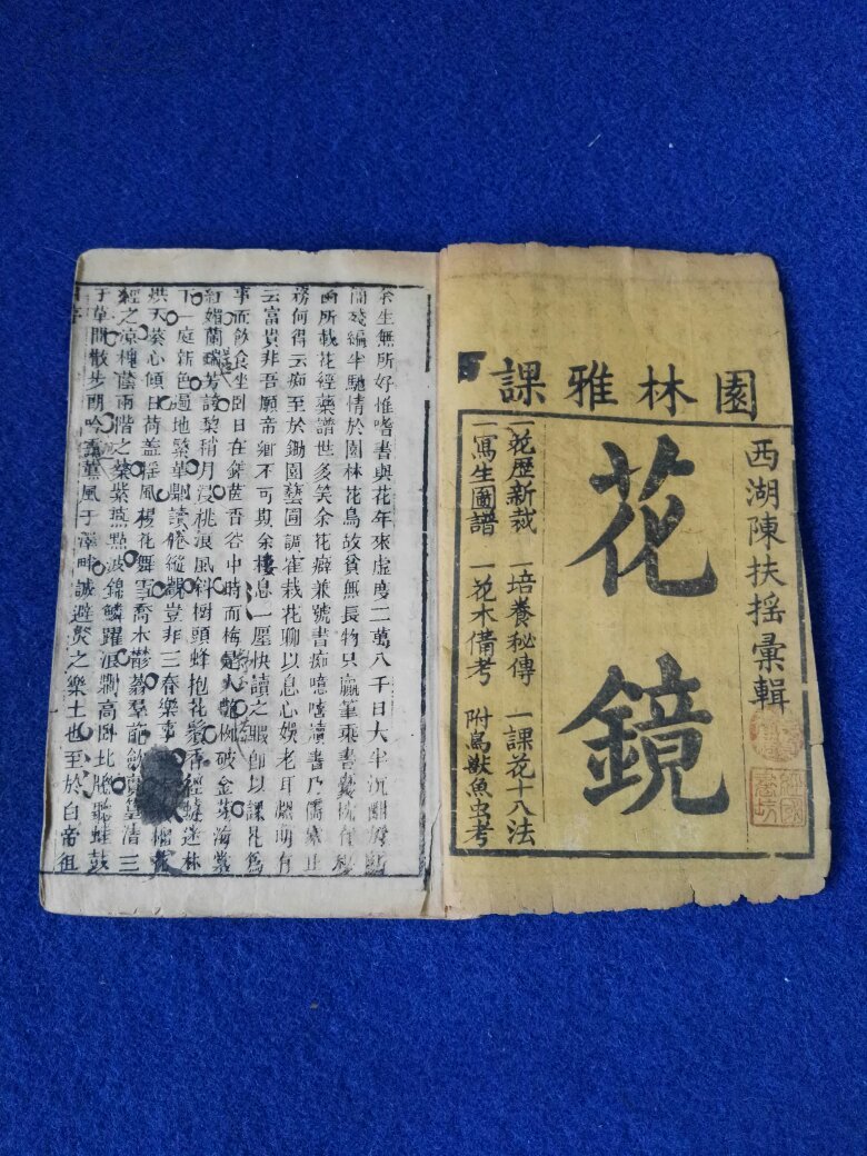 《花镜,园林雅课,秘传花镜,康熙木刻版,书内有木刻花草,图一百五十