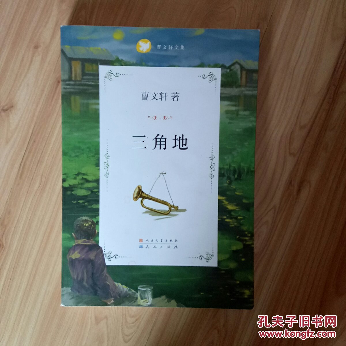 曹文轩文集:三角地