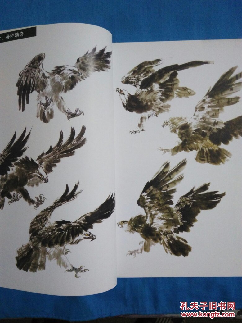 教你怎样画国画 动物篇