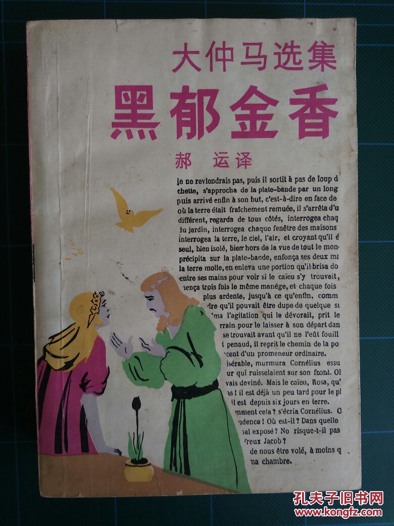 大仲马作品两种:玛戈王后 黑郁金香