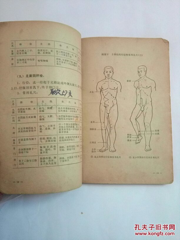 针灸入门.