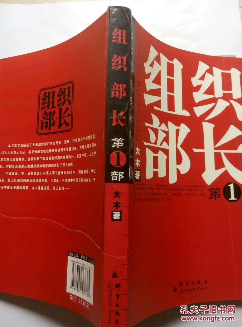 大木组织部长系列:组织部长(第1部)