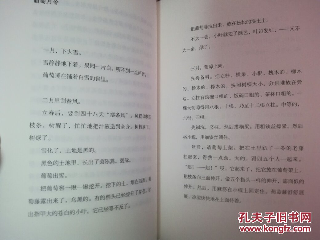 汪曾祺:人间草木(十品内页全新未翻阅)