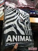英文原版---ANIMAL THE DEFINITIVE VISUAL GUIDE TO THE WORLDS WILDLIFE【精装】书净重3.2公斤