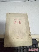 皮张  畜产教材之三   1951年一版一印
