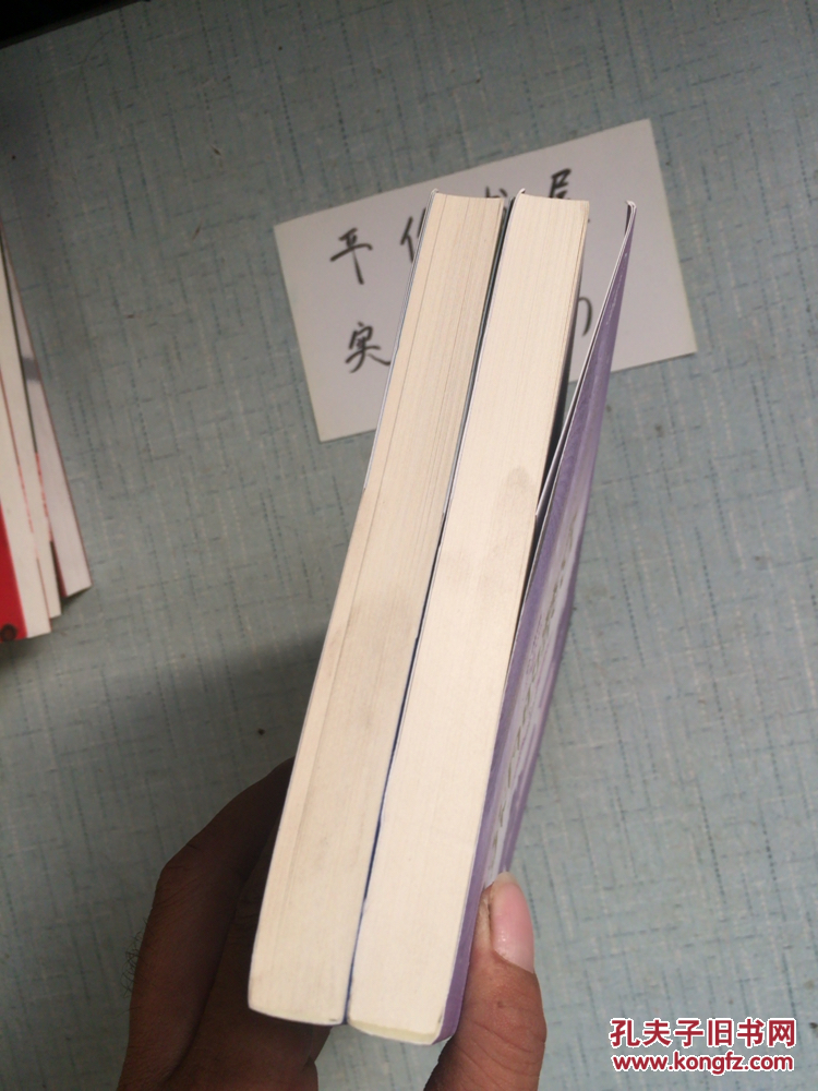 苏丹的禁宫(上下 特价处理9.9)