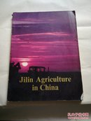 JiIin  AgricuIture  in  China（T10）
