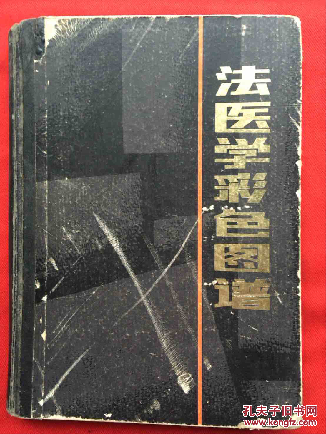 法医学彩色图谱(店内)