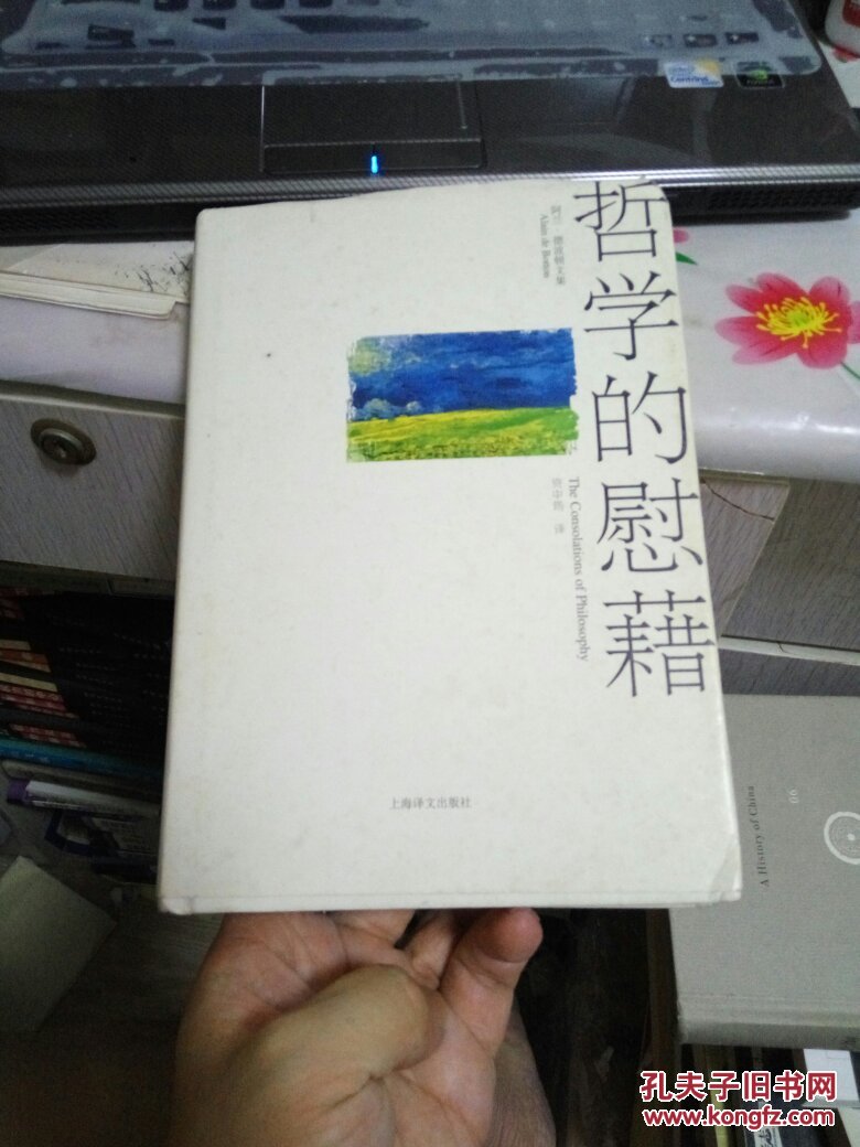 慰藉的意思，得以慰藉的意思