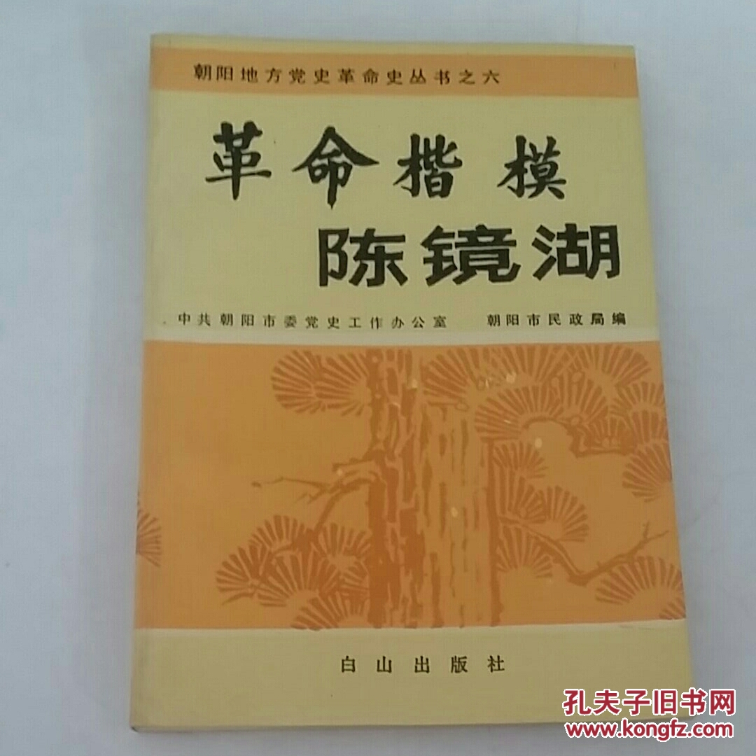 革命楷模陈镜湖(朝阳地方党史革命史丛书之六,一版一印3千册,学校图书