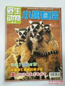 小哥白尼:野生动物画报:2006年第8期