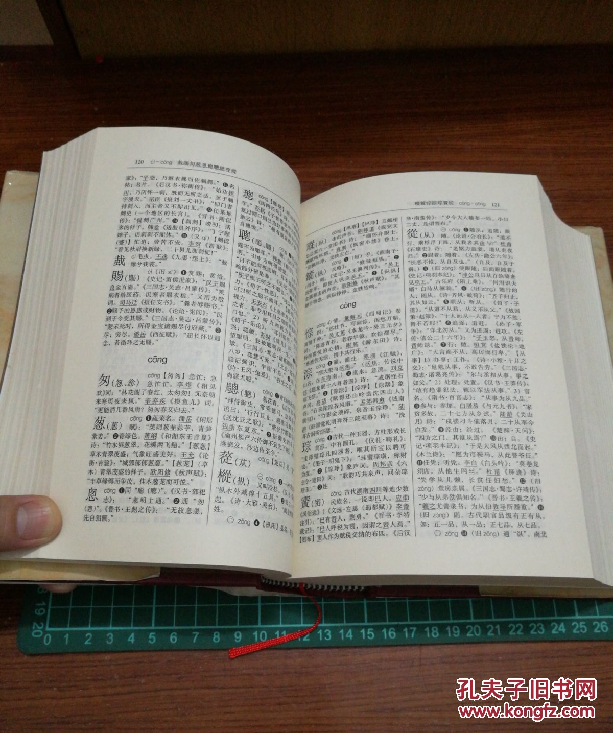 简明古汉语字典