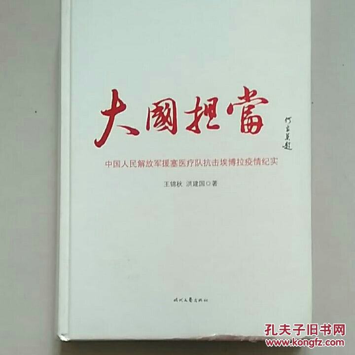 大国担当:中国人民解放军援塞医疗队抗击埃博拉疫情纪实