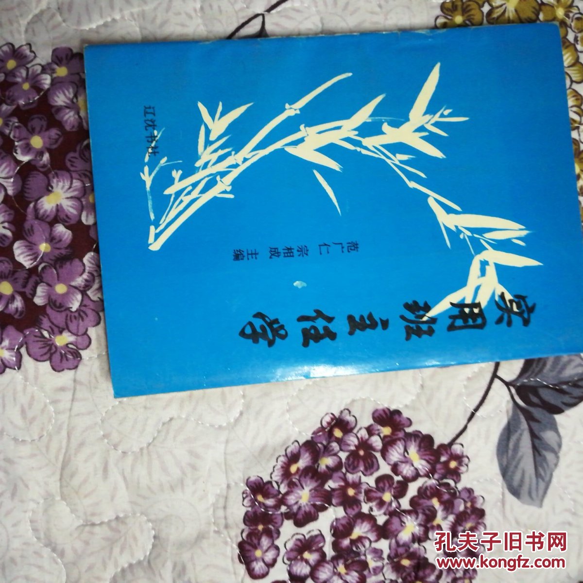 实用班主任学(一版一印)_范广仁_孔夫子旧书网