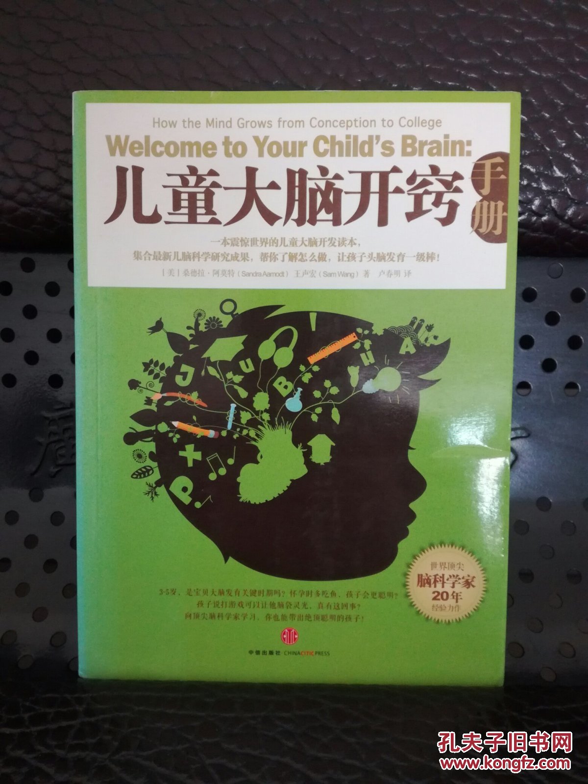 儿童大脑开窍手册