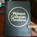 Websters collegiate THesaurus