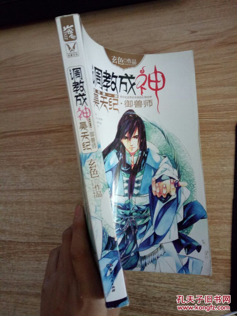 调教成神系列:昊天纪御兽师