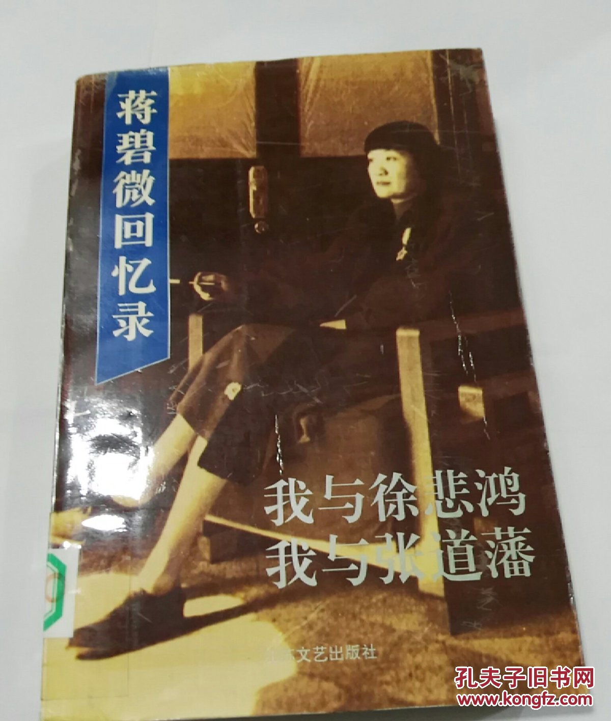 蒋碧碧薇回忆录