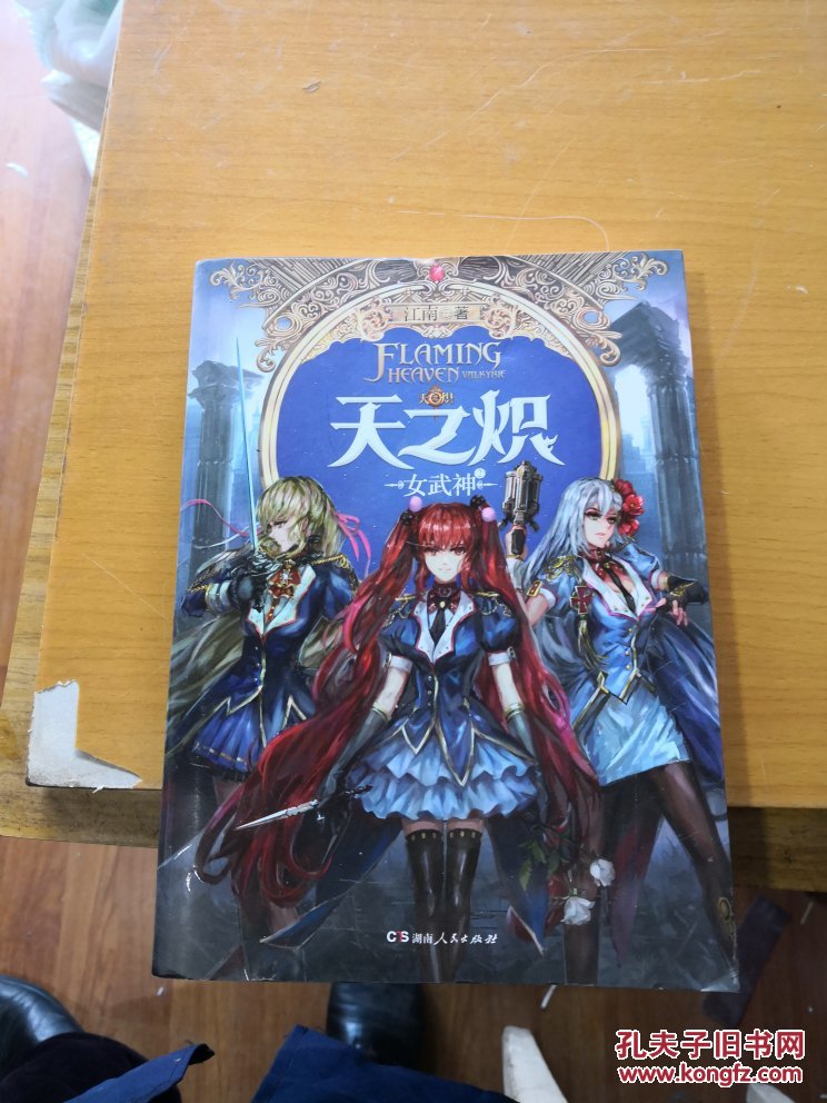 天之炽 女武神2