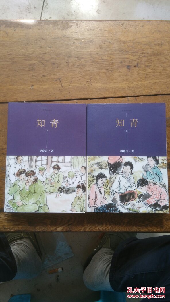 知青-(上下册)-水墨插图版_梁晓声 著 李耀春 绘_孔夫子旧书网