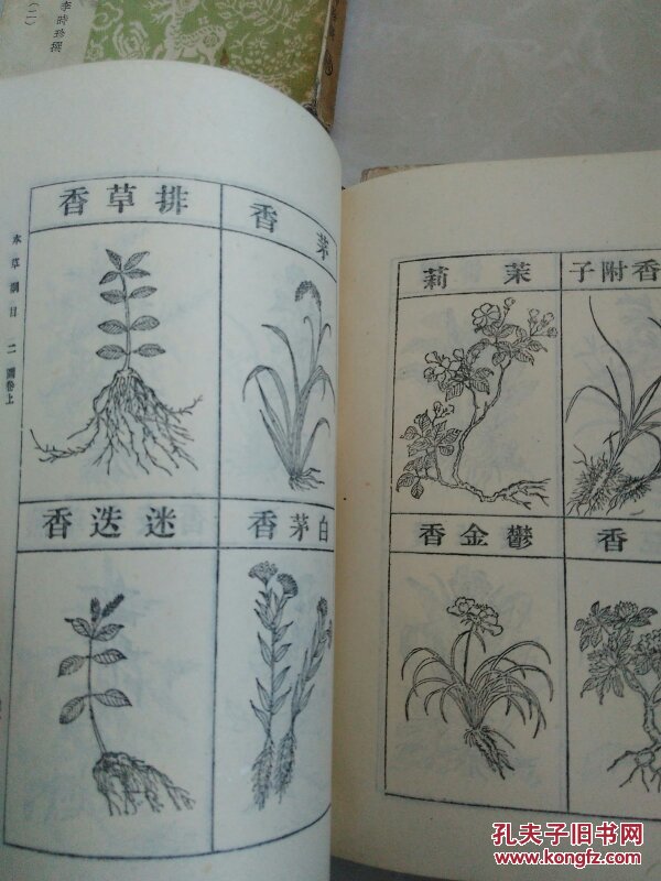 本草纲目全六册