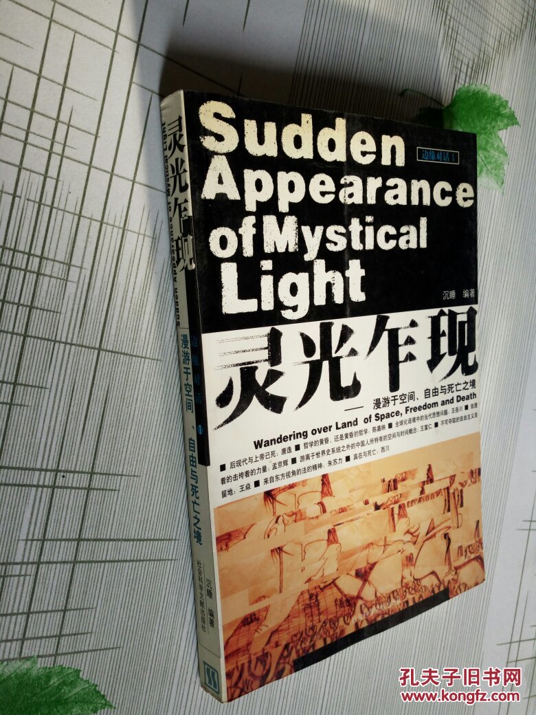 灵光乍现:漫游于空间,自由与死亡之境