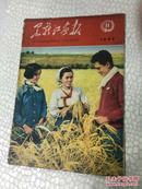 黑龙江画报1960（第11期）
