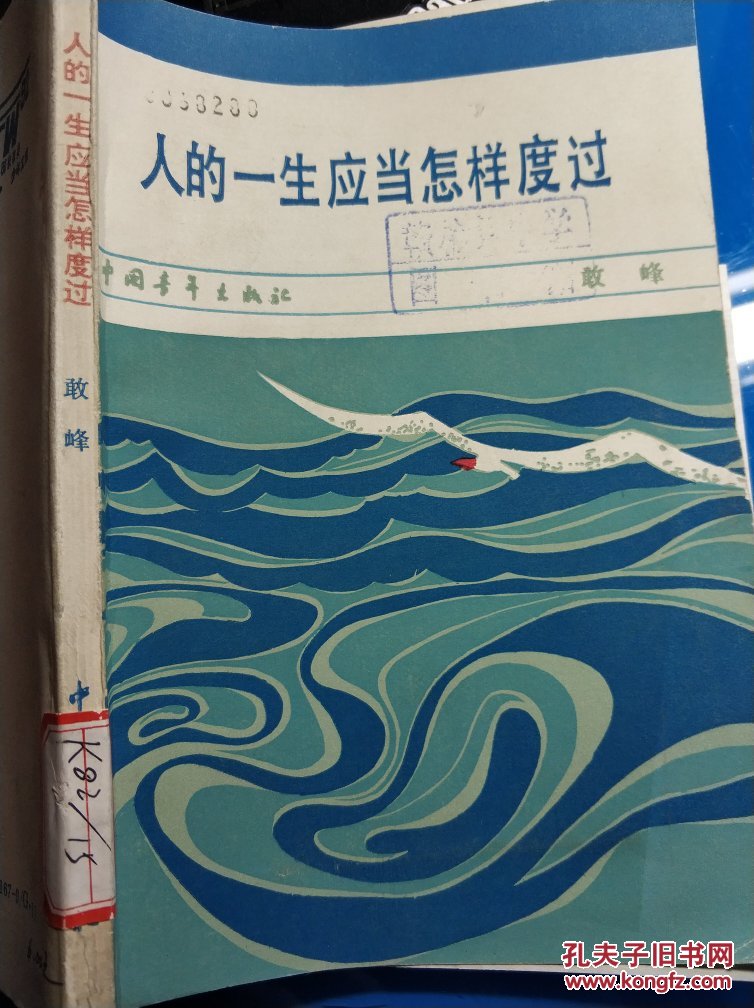 人的一生应当怎样度过(馆藏)
