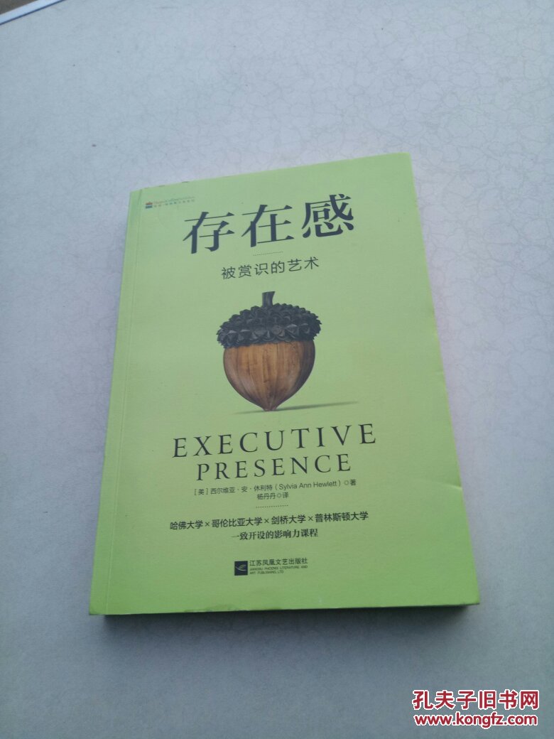 存在感_[美]西尔维亚·安·休利特 著,杨丹丹 译