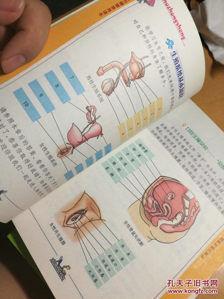 商品分类: 综合性图书 相似商品 山东省教学研究室 等编 ￥39.00