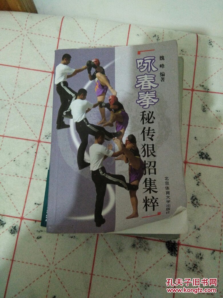 咏春拳:秘传狠招集粹(后面有水渍)_魏峰编著_孔夫子旧书网