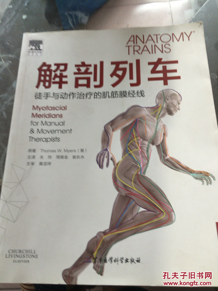 解剖列车徒手与动作治疗的肌筋膜经线