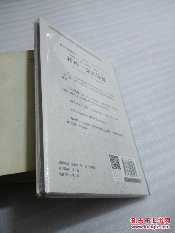 精神 刘亚洲 9787535480279