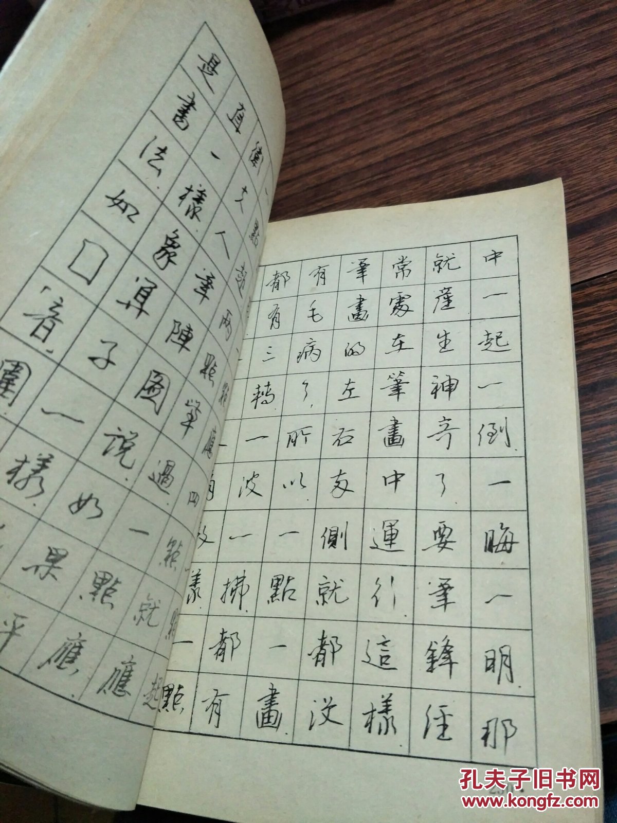 吴身元钢笔书法 书谱 续书谱